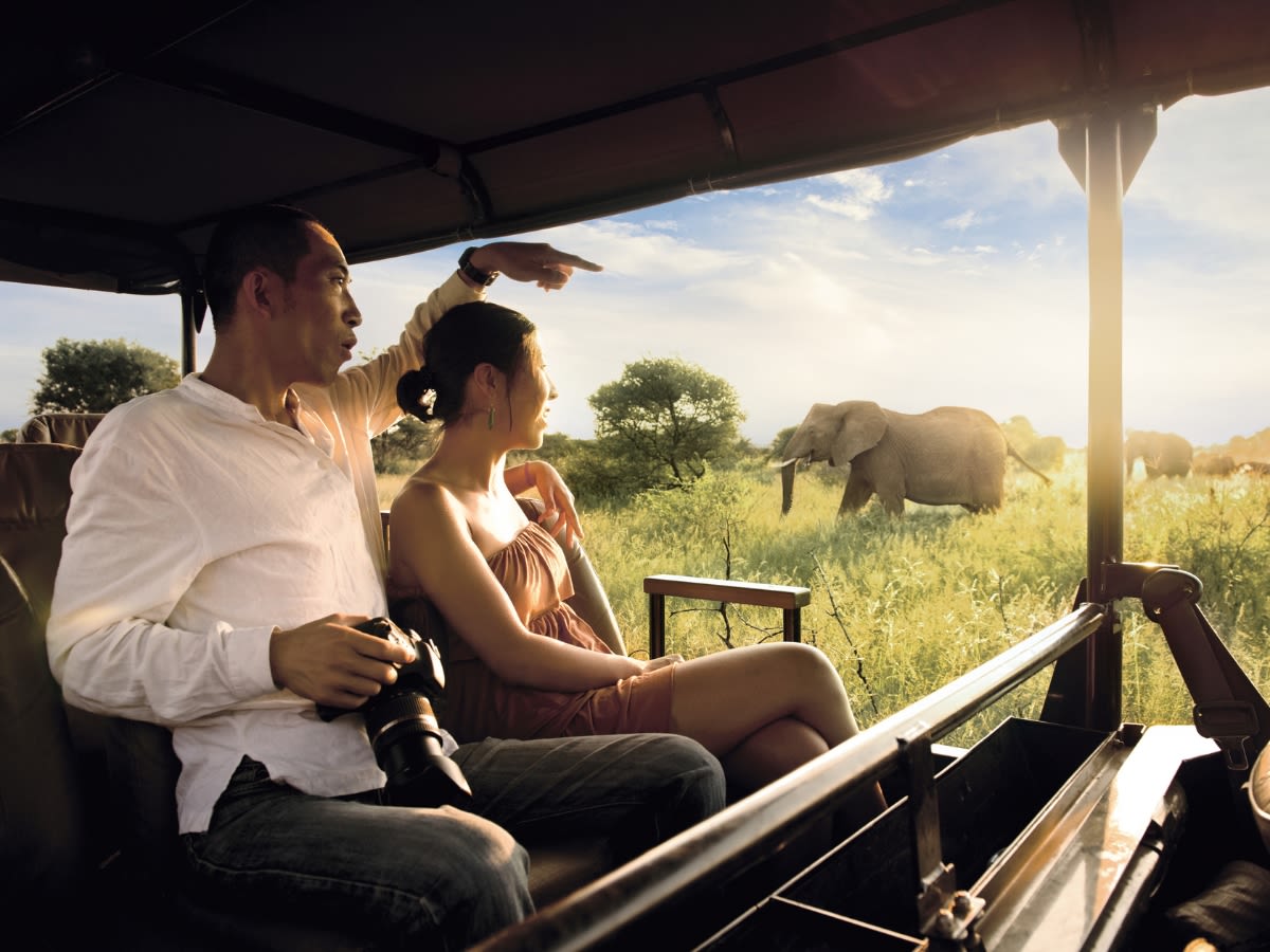 Cape Town and Kruger National Park Safari