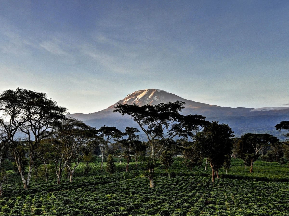 Mount Kilimanjaro Trek