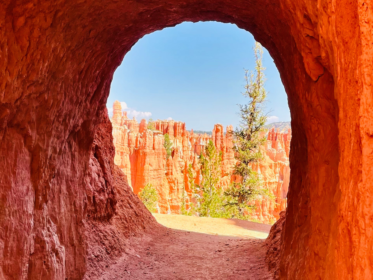 Bryce Canyon & Zion Adventure