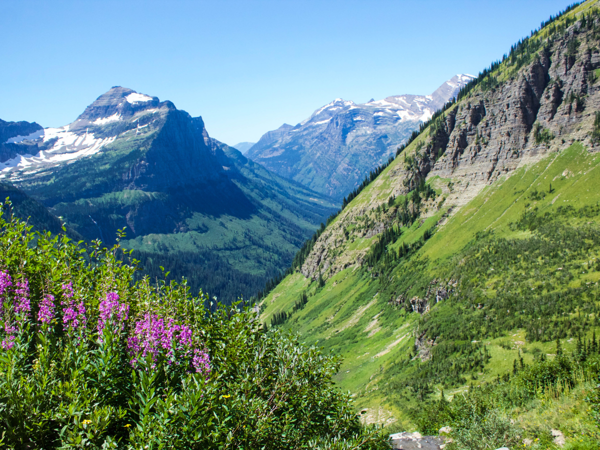 Glacier National Park Adventure Hike