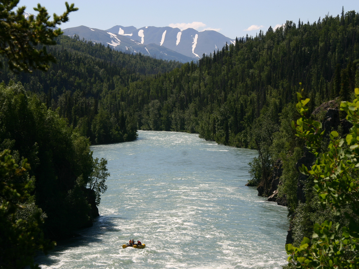 Kenai Fjords Adventure