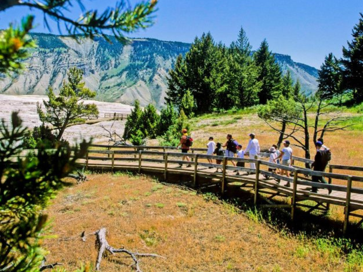 Yellowstone & Grand Teton Family Vacation