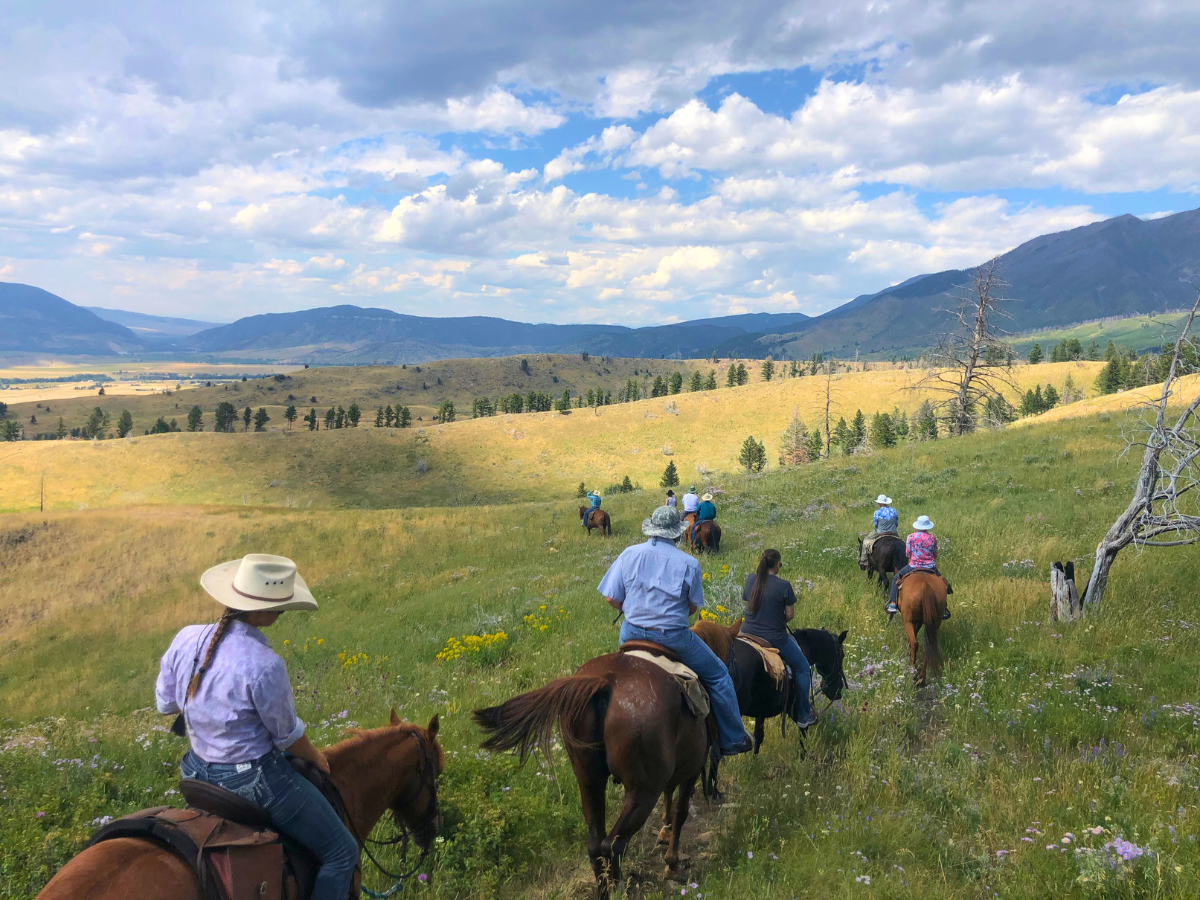 Yellowstone Adventure