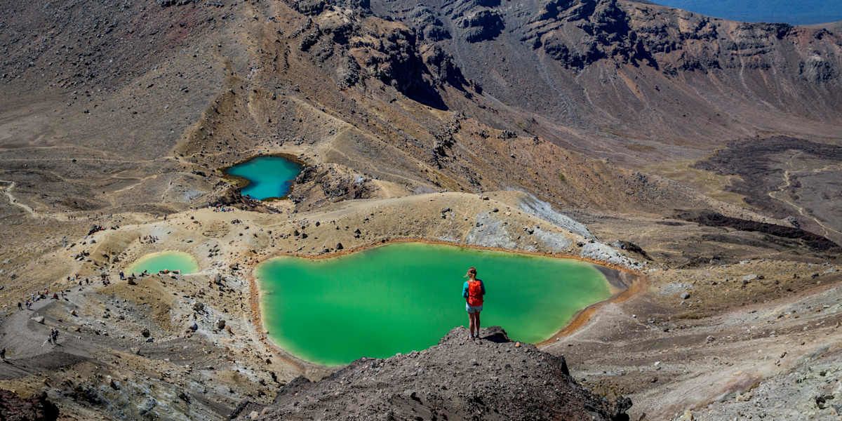 North Island Volcanic Adventure