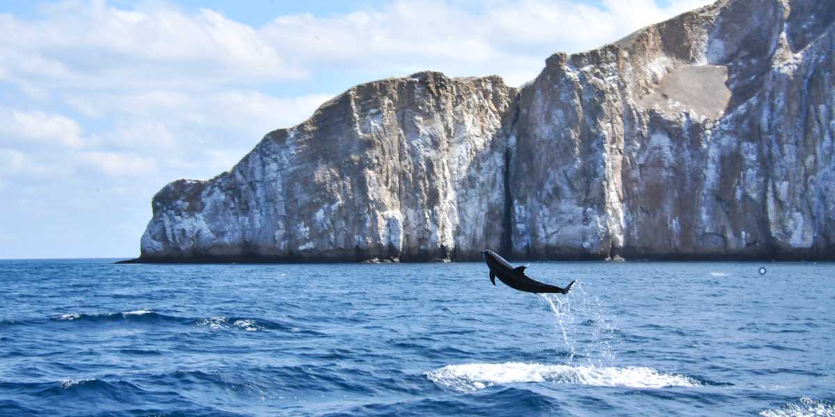 Classic Galapagos Islands Adventure