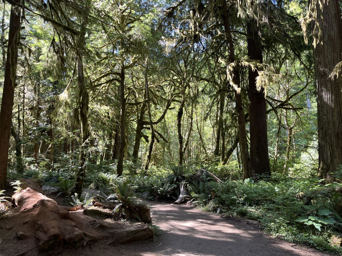 Olympic National Park Adventure