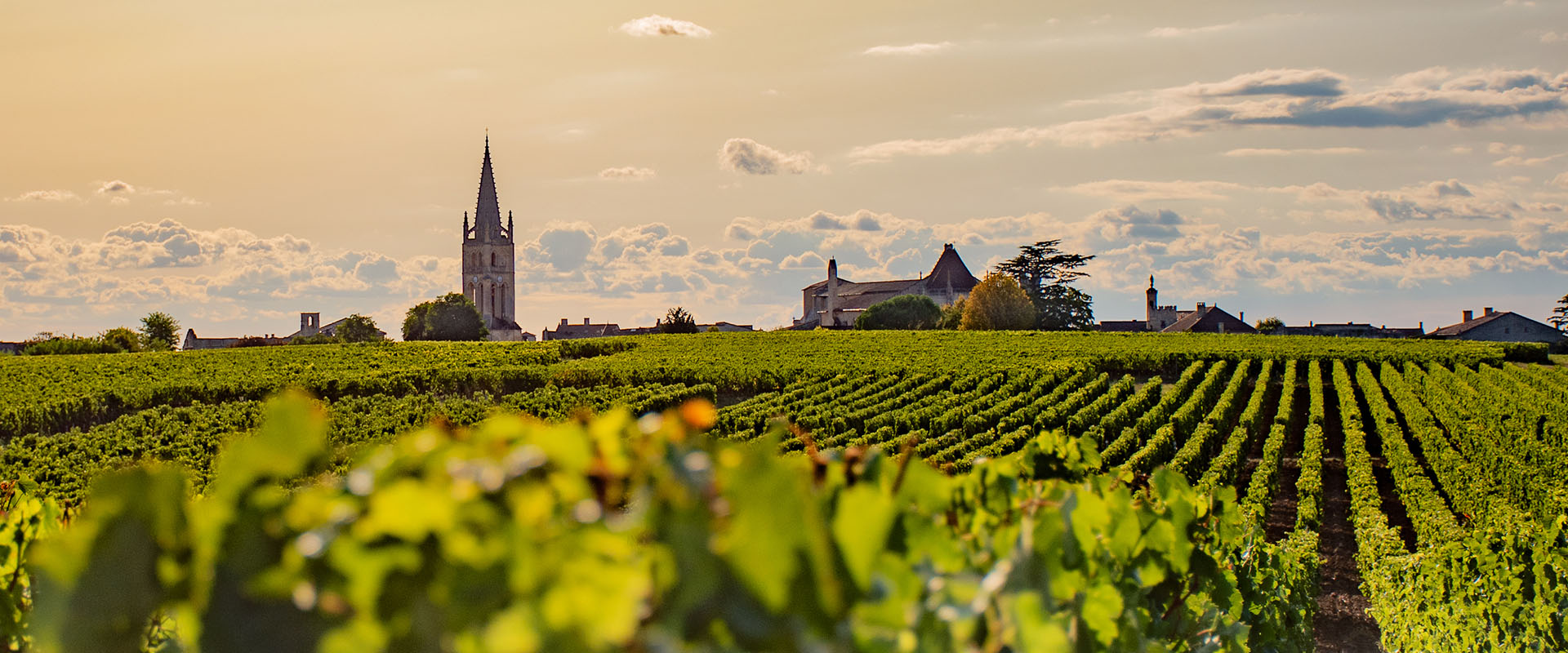Beautiful Bordeaux with London