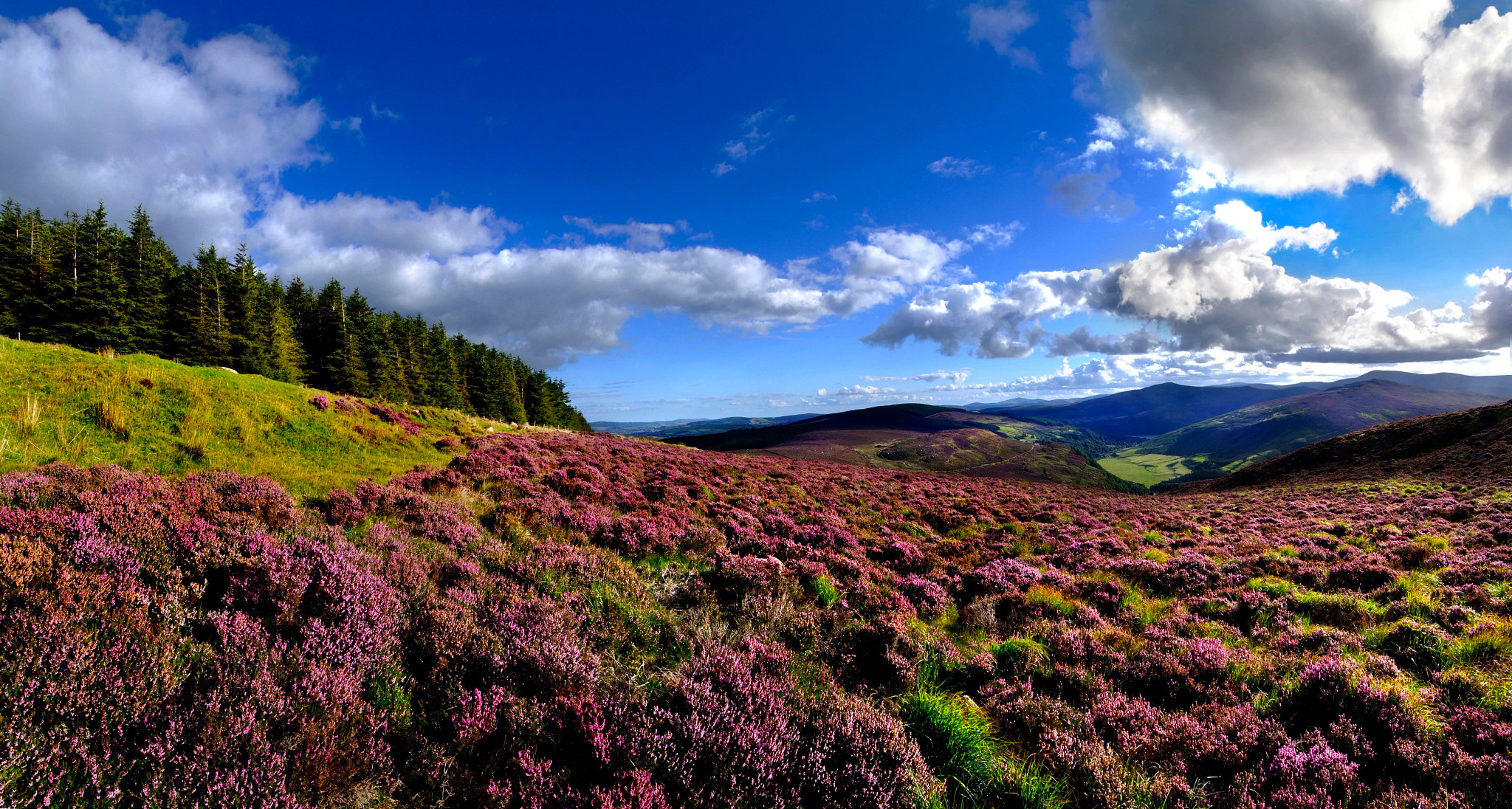 Irish Spirit Self-Drive