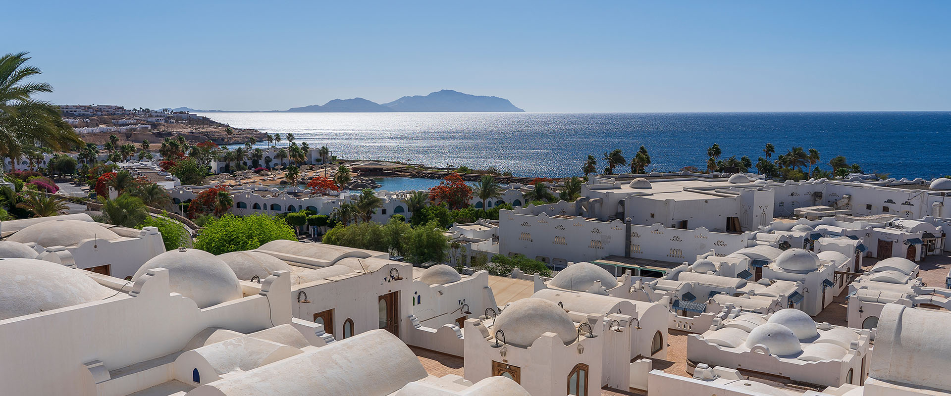 Discover the Ancient Treasures of the Mediterranean & Red Sea