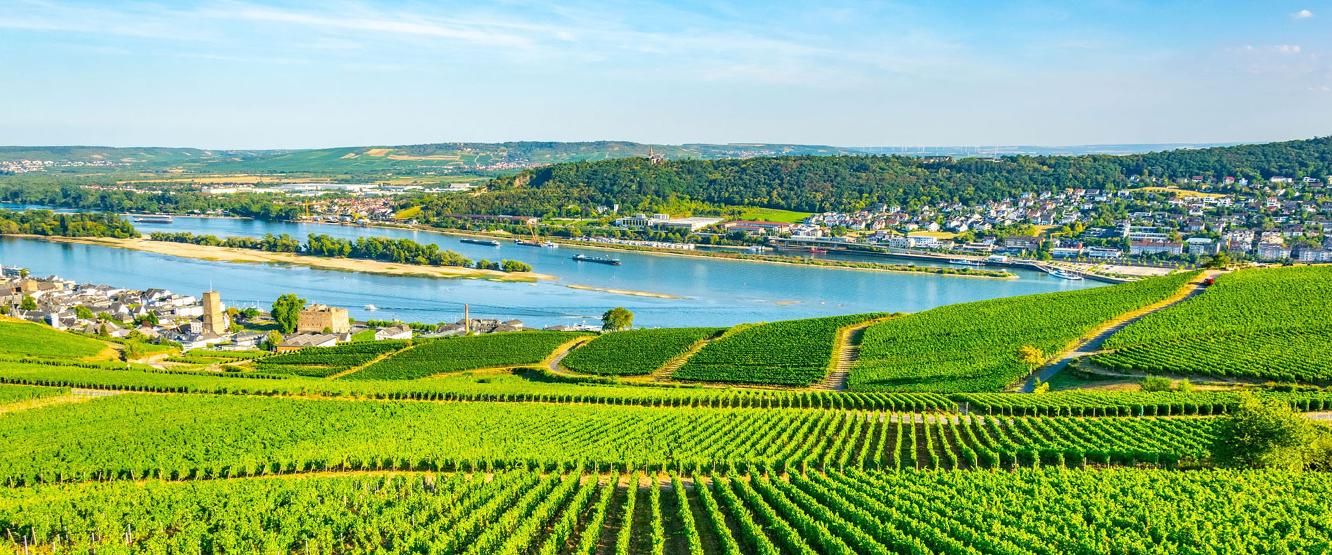 Charming Castles & Vineyards of the Rhine & Moselle