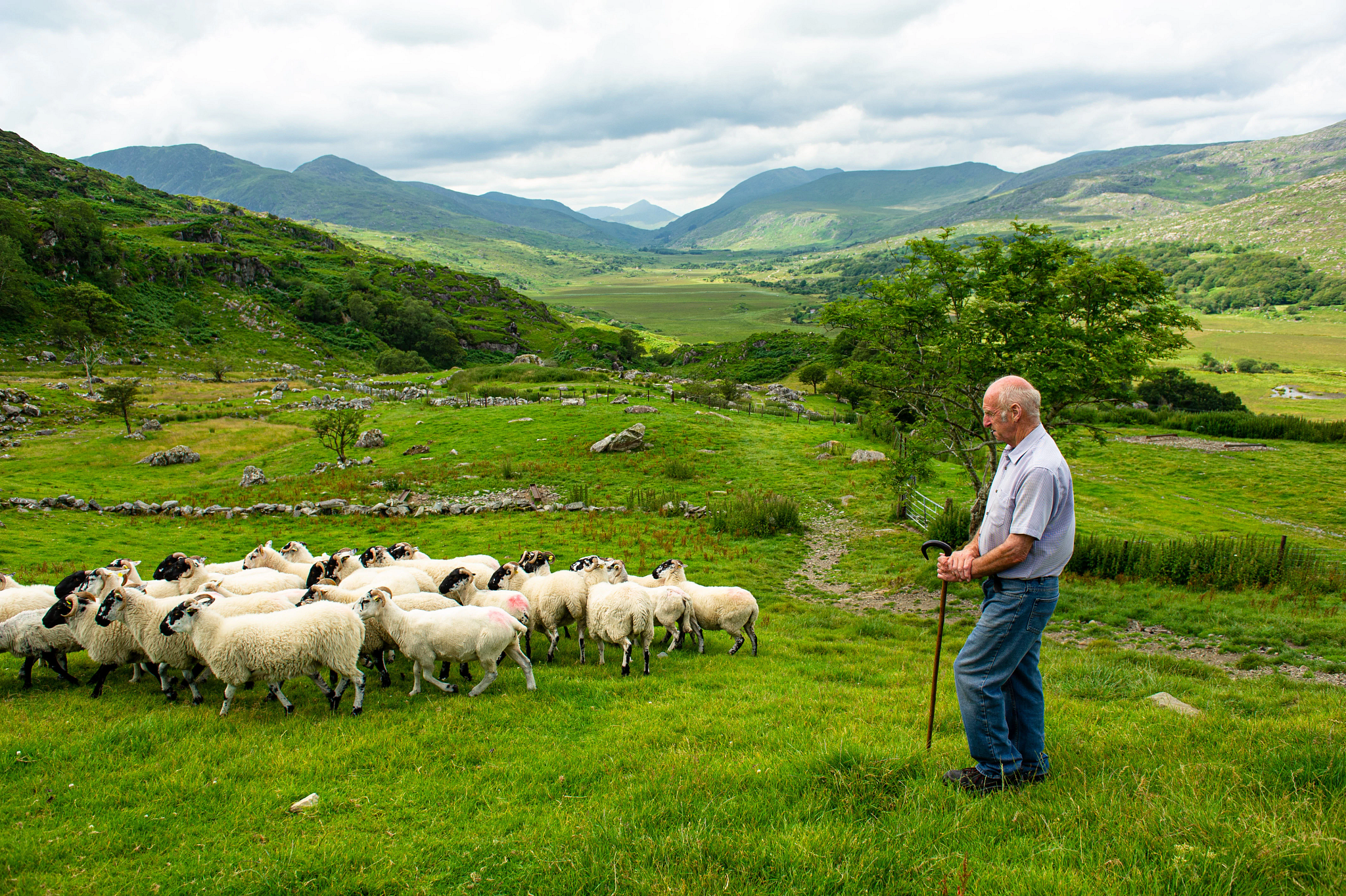 Best of Ireland South