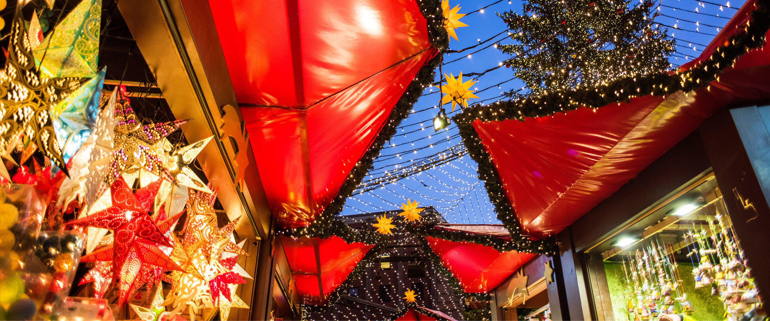 Rhine Christmas Markets