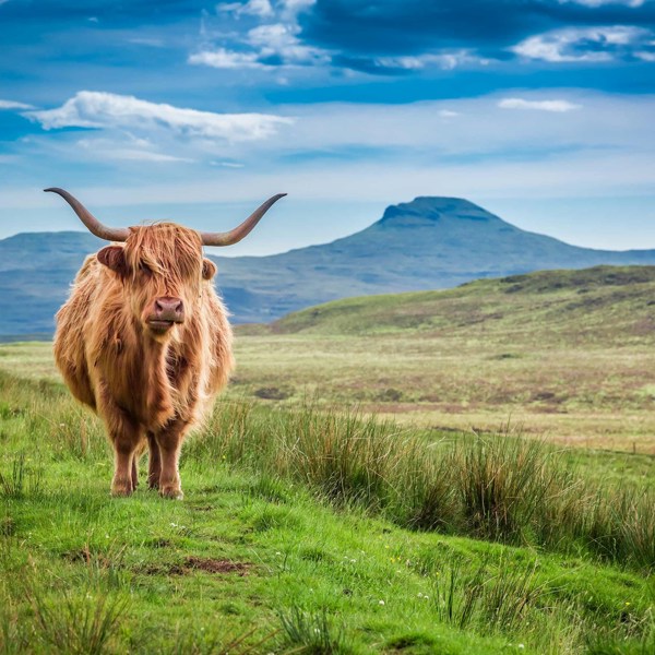 Britain and Ireland Explorer