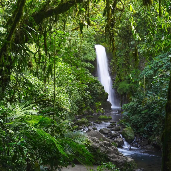 Costa Rica Adventure