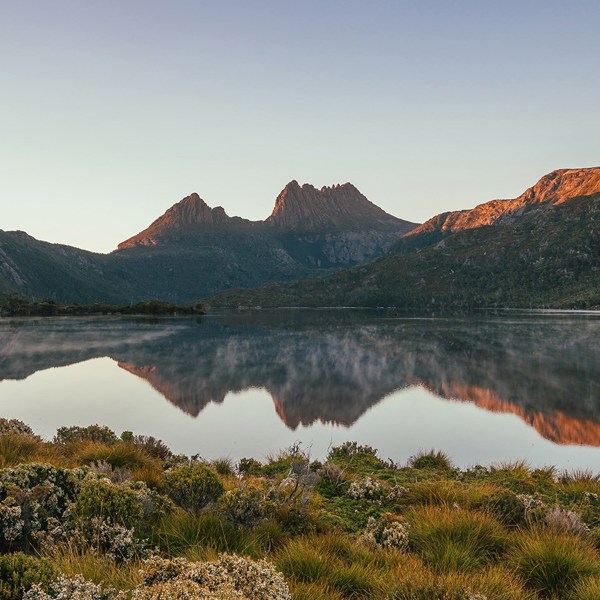 Tassie's Wilderness Icons