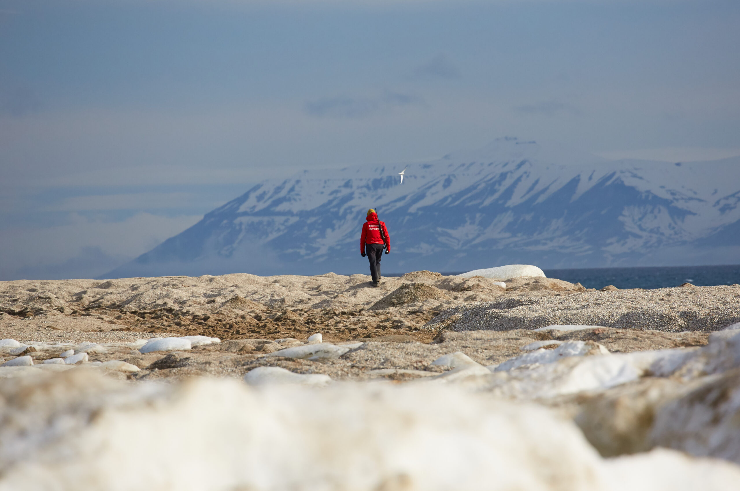 North Spitsbergen Explorer - Into the Pack Ice - Polar Bear Special