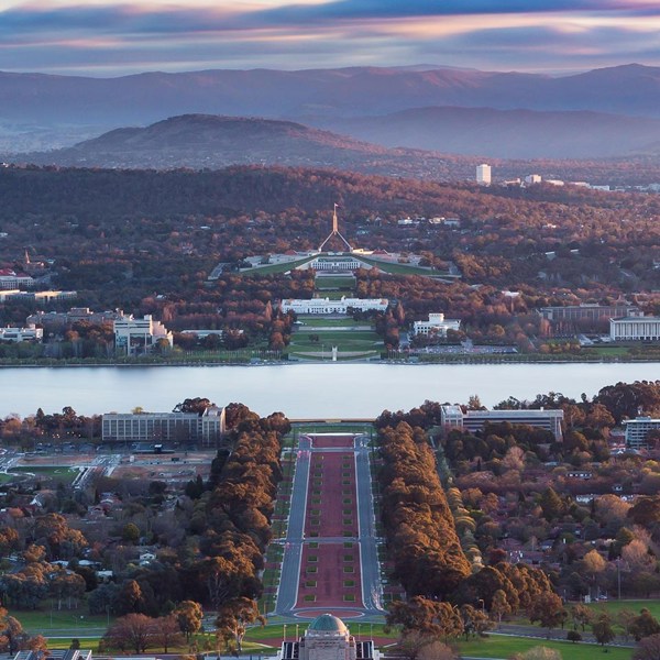 Southern Capitals - City Meets Bush