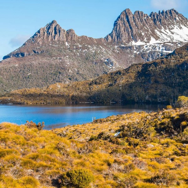 Tasmanian Wonders