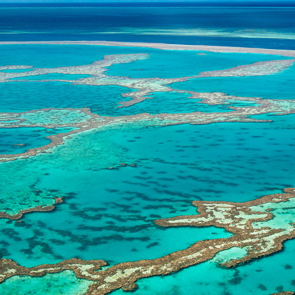 Australian Highlights