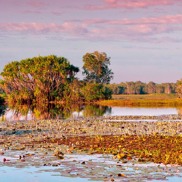 Kakadu & Arnhem Land Explorer