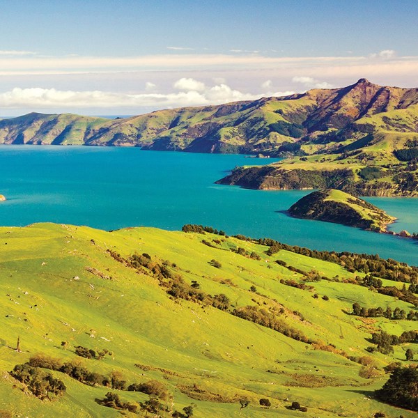 Essence of New Zealand