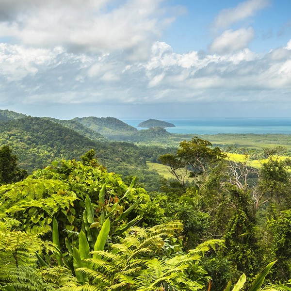 Cape York Frontier: Cape York to Cairns