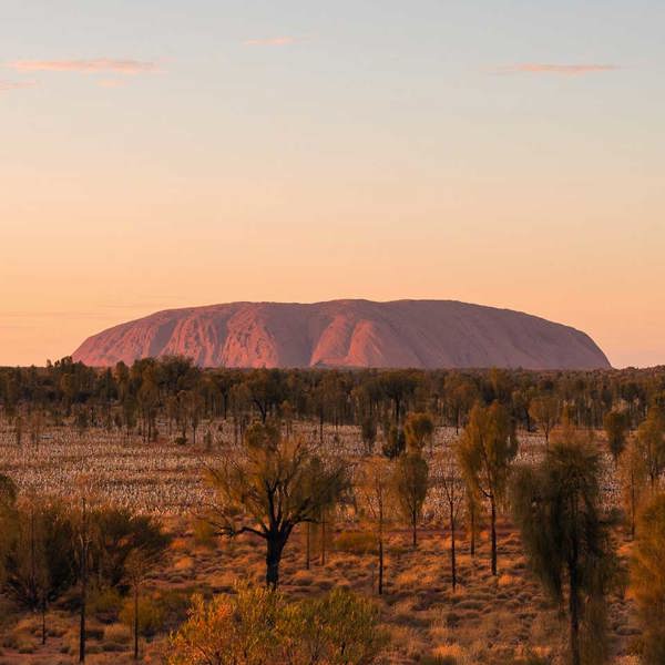 Uluru & Kata Tjuta Highlights