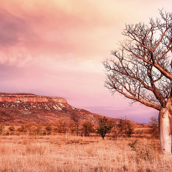 Wonders of the West Coast & Kimberley