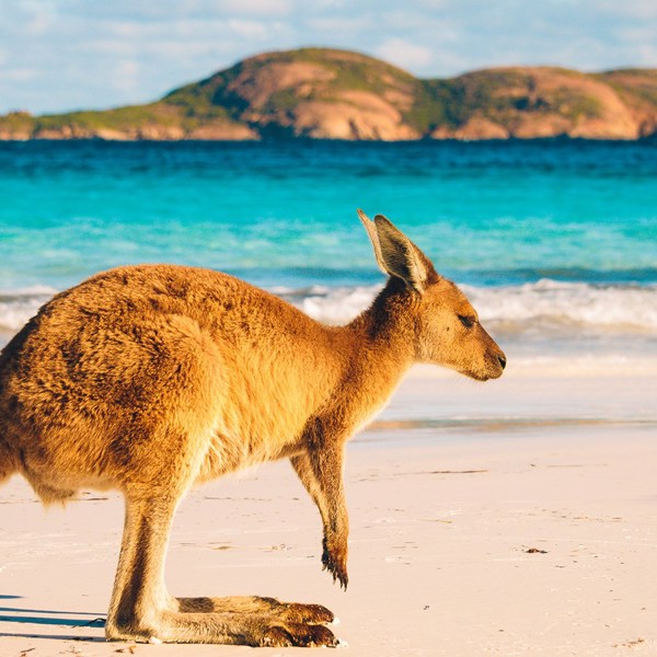 South Western Escape