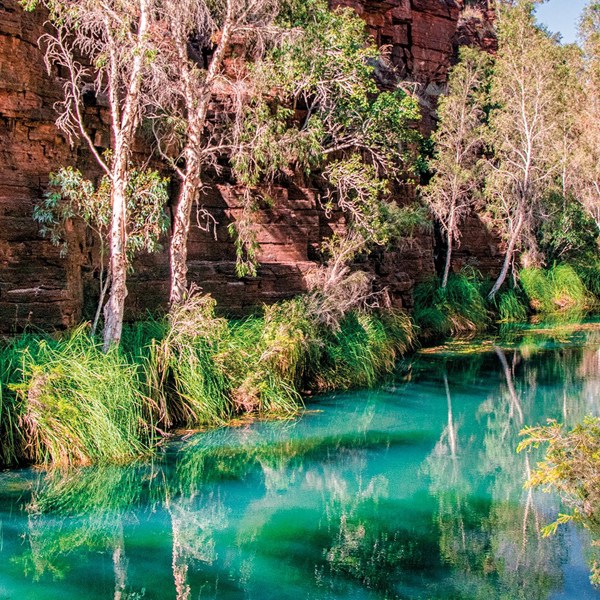 Wonders of the Pilbara & West Coast