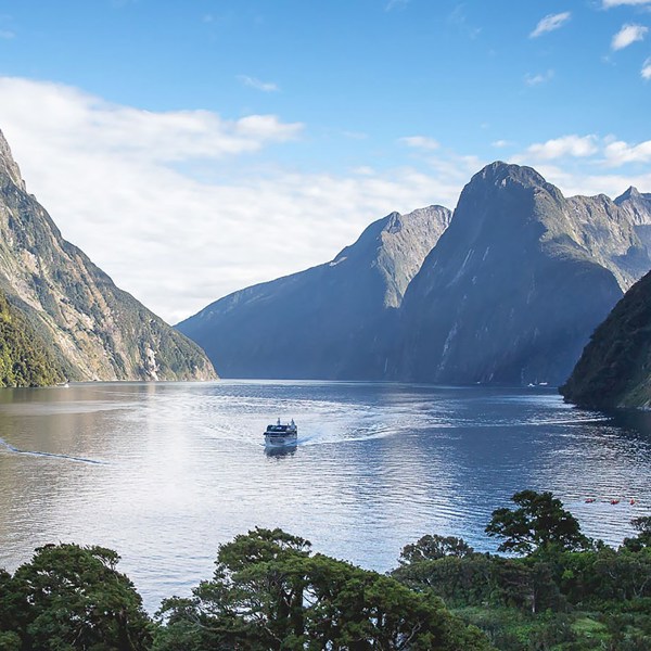 New Zealand Uncovered