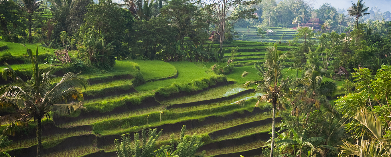 Indonesia: Islands of the Gods