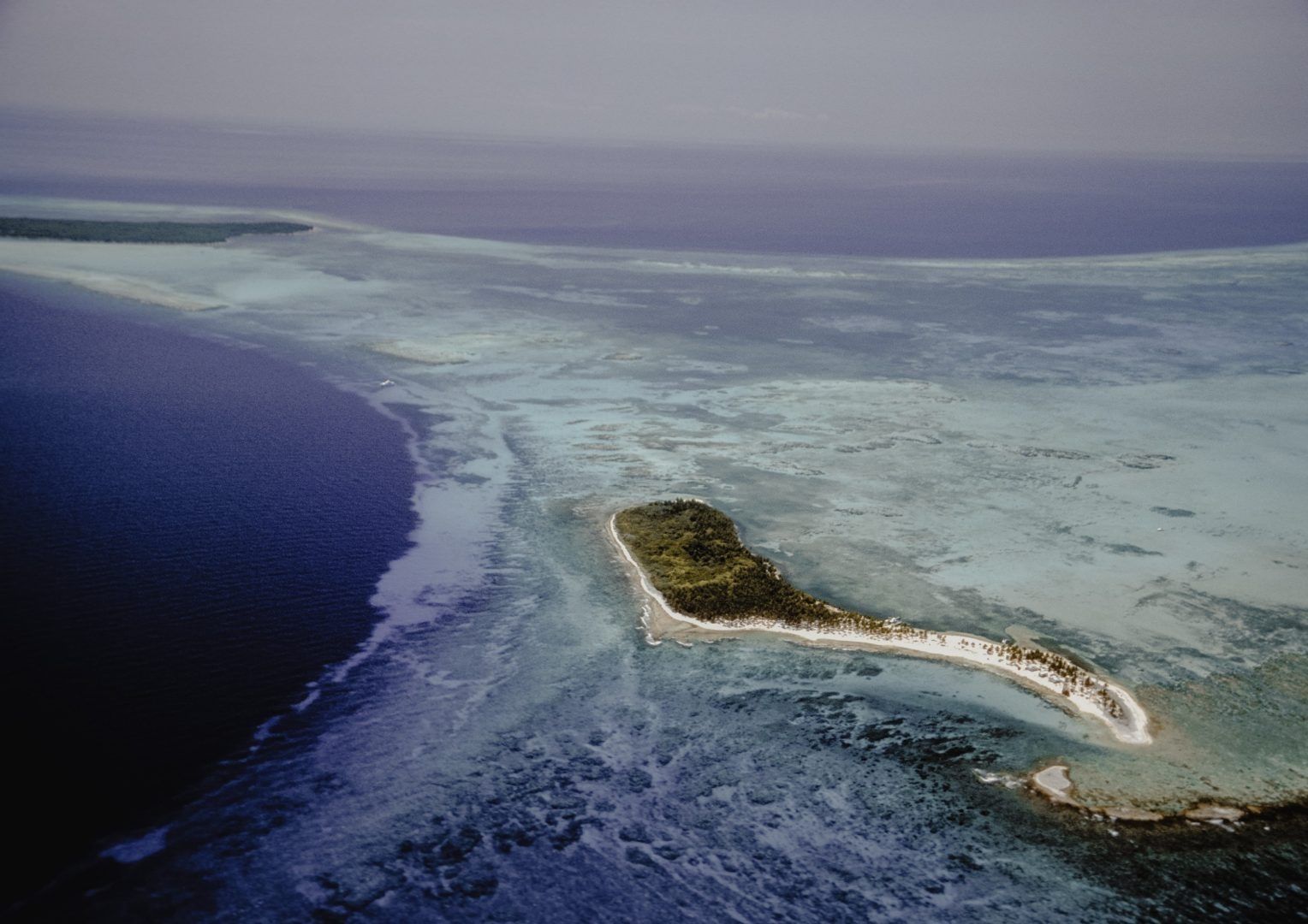 A Journey into Tropical Idylls & Mayan Mystery