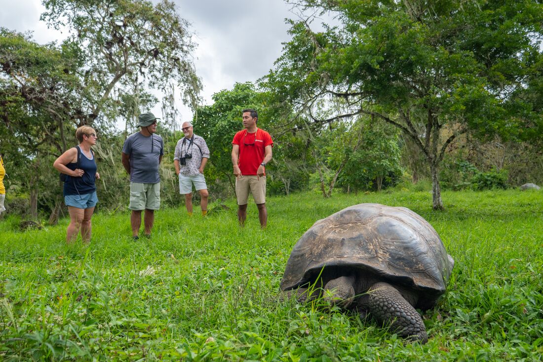Galapagos Encounter: Southern Islands (Grand Queen Beatriz)
