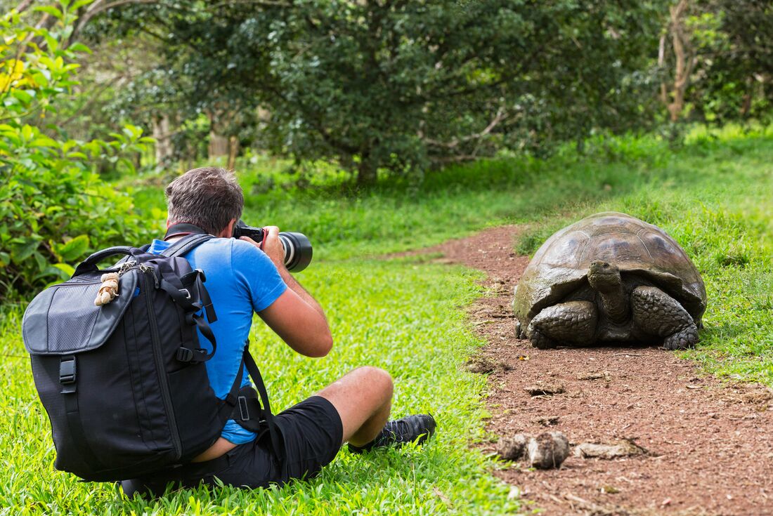 Galapagos at a Glance: Southern Islands (Grand Daphne)