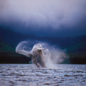 Grand Western Canada Vacation With Alaska Cruise