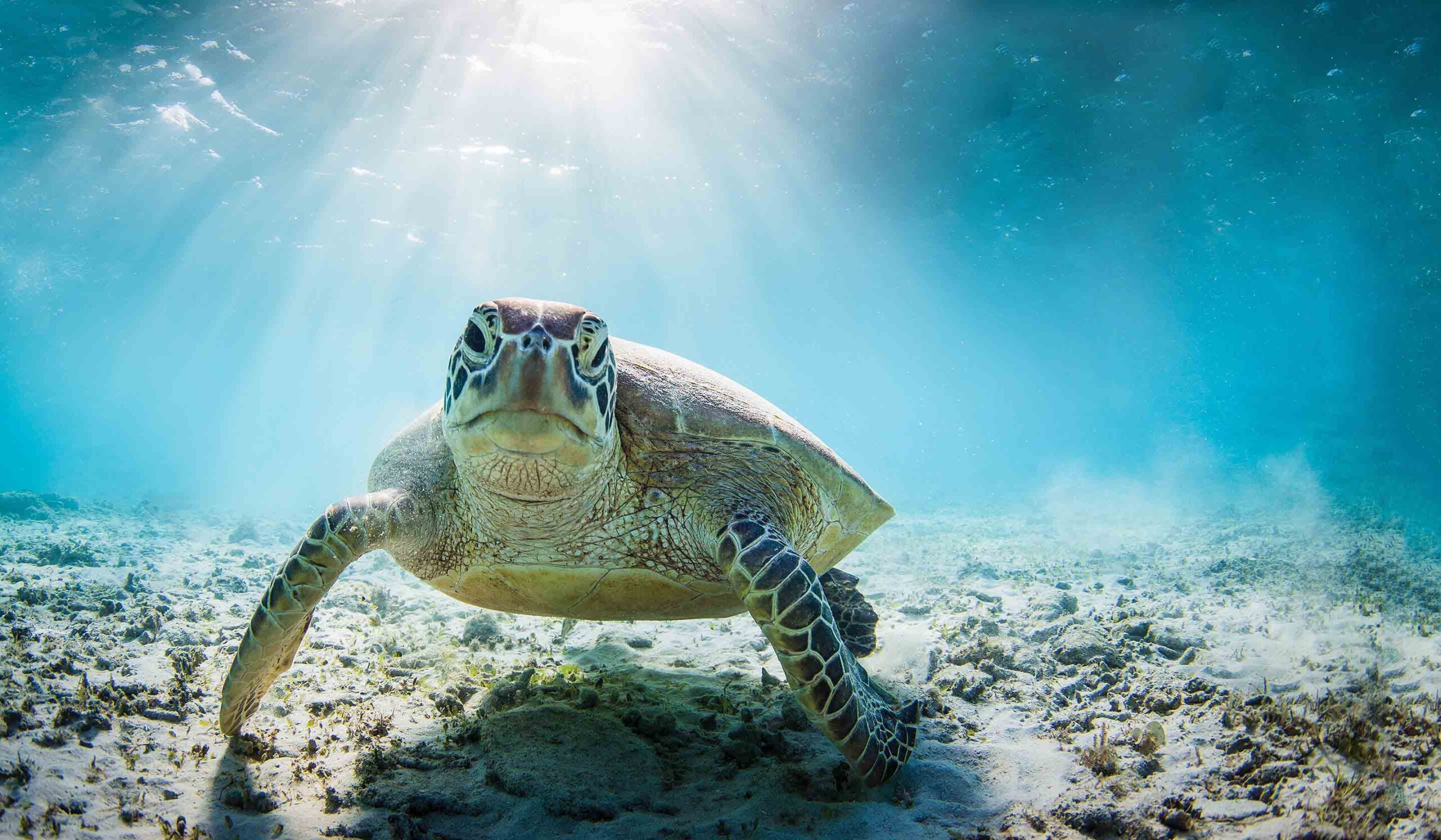 Hidden Galapagos & Peru