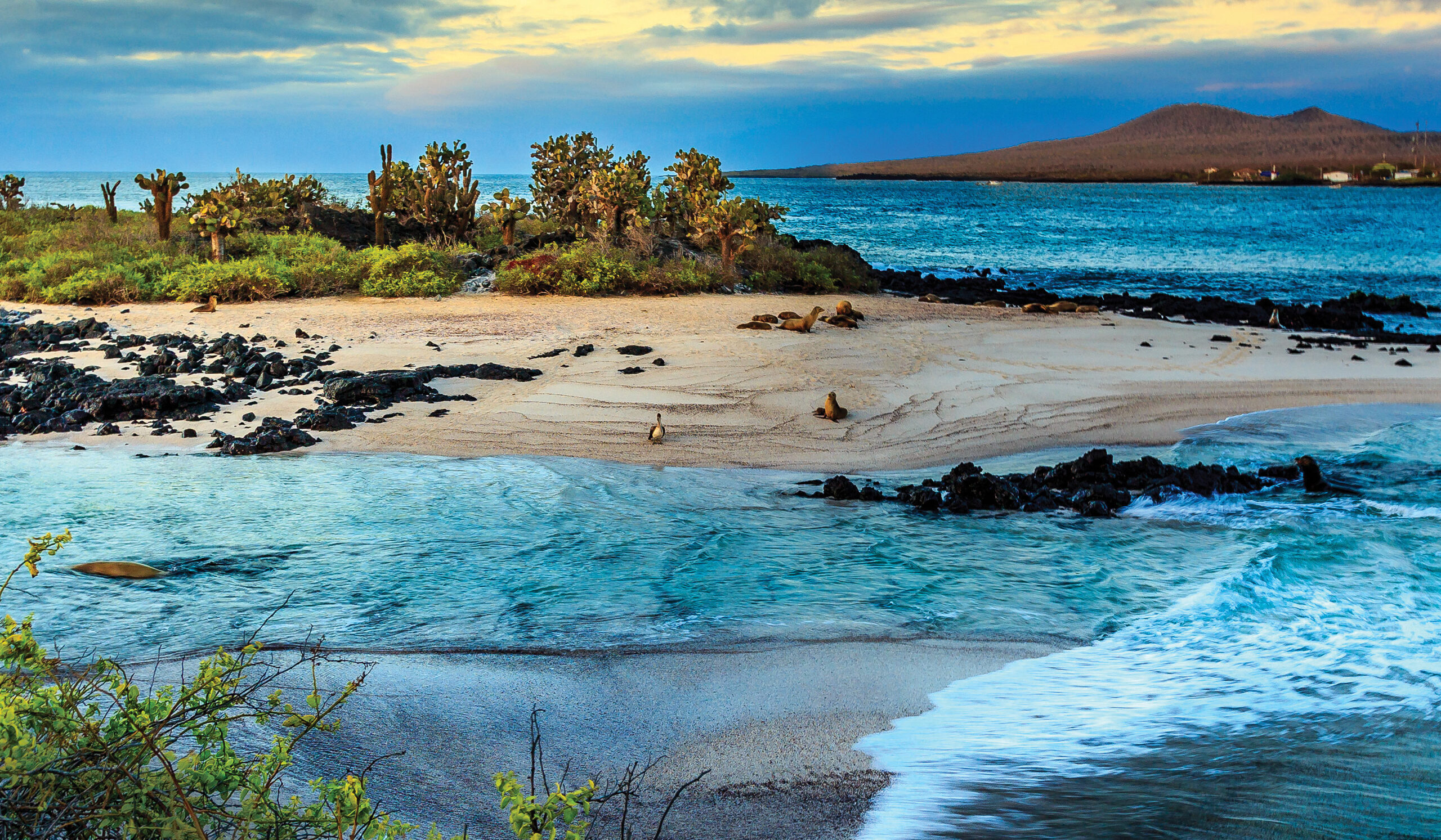 Cruising the Galapagos Islands
