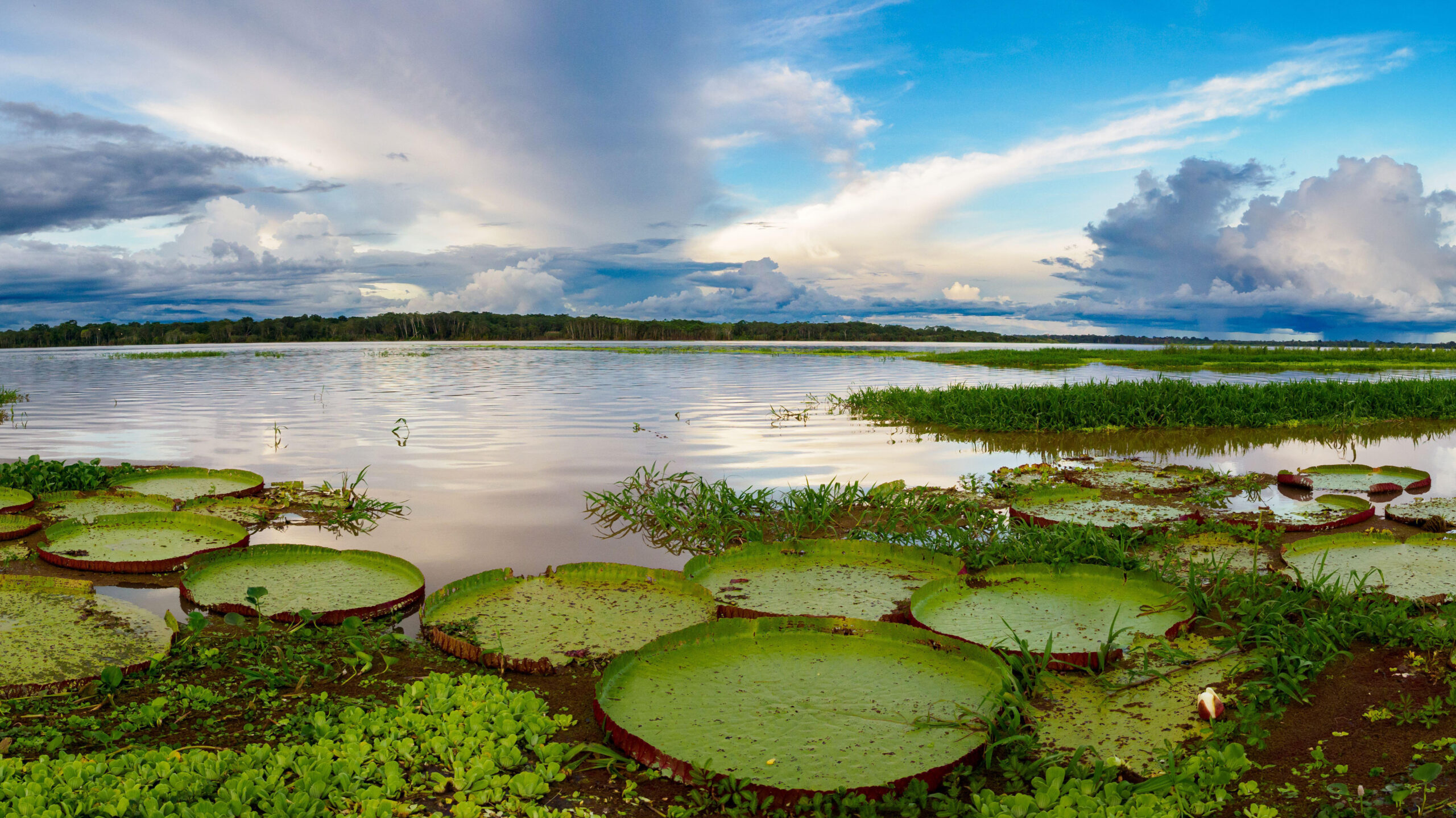 Peru: Machu Picchu and Amazon Cruise