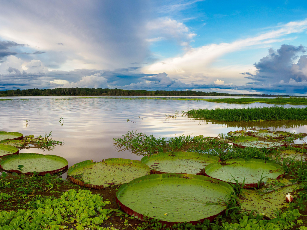 Peru: Machu Picchu and Amazon Cruise