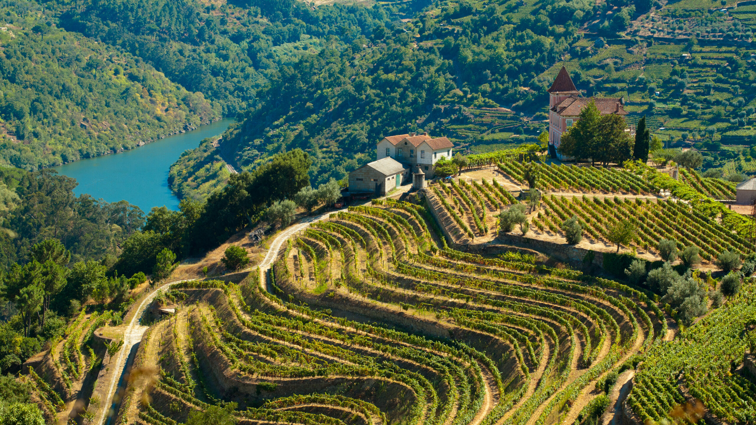 A&K x Crystal Cruises: Epicurean Highlights of Western Europe