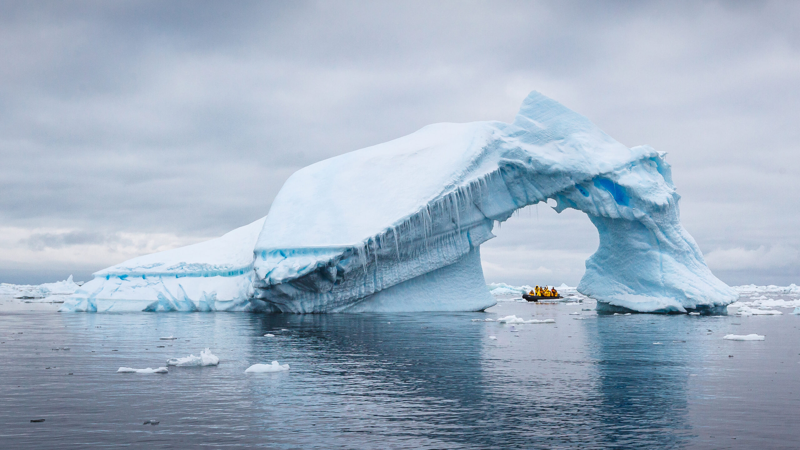 Antarctica, South Georgia and Falklands: Holiday Voyage