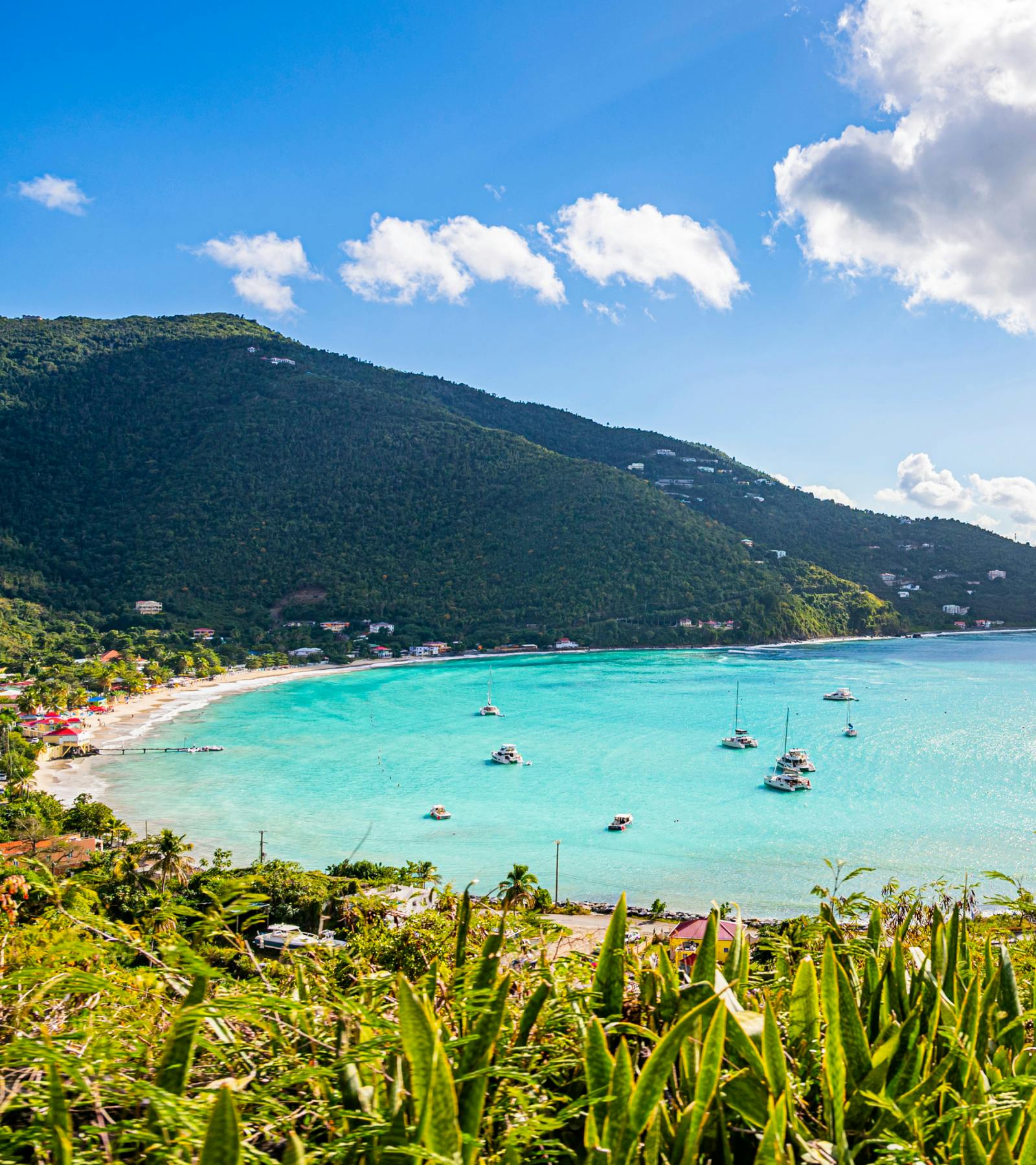 San Juan & St. Isles: Valentine's Voyage