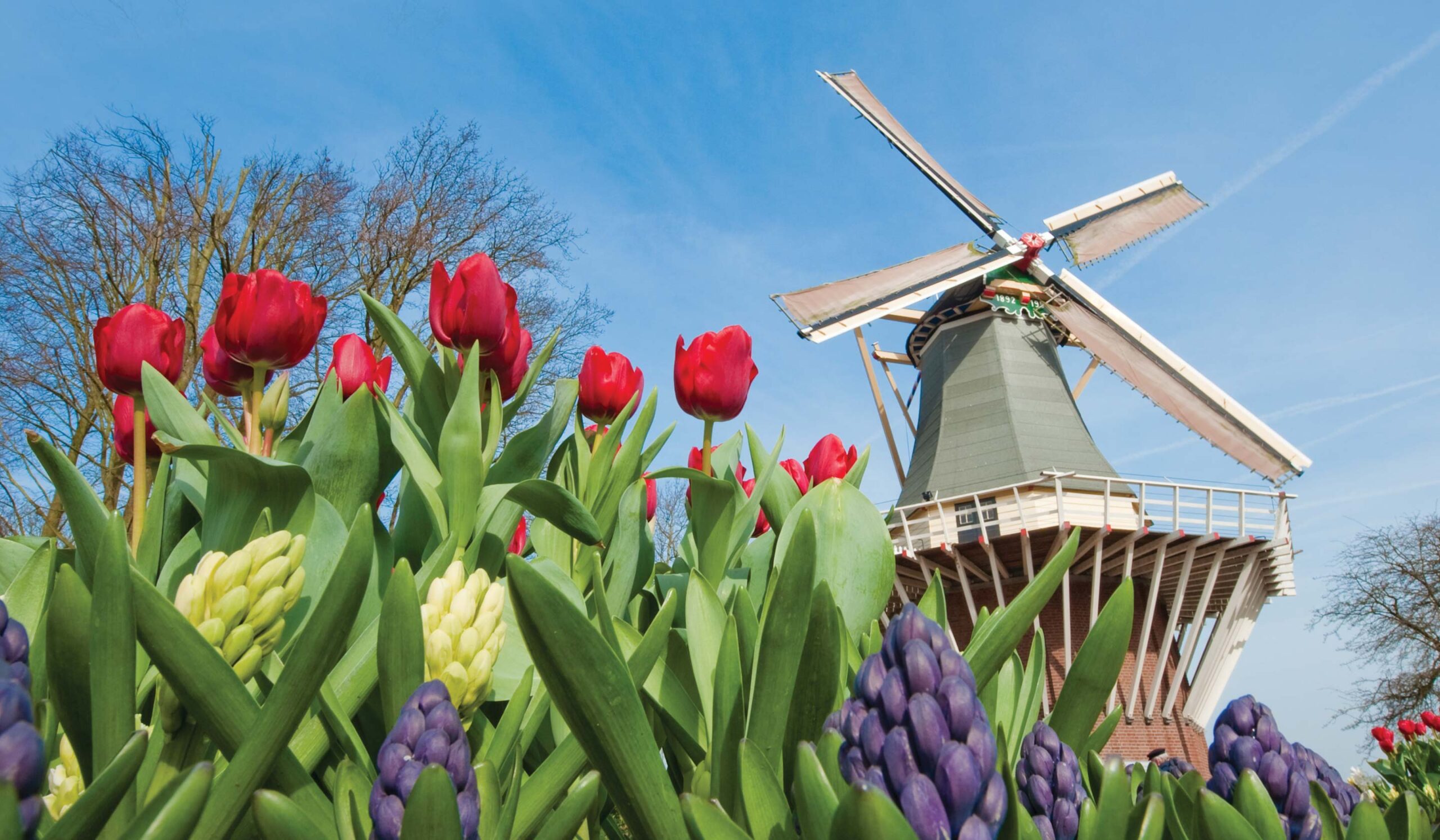 Belgium & Holland in Spring - Northbound