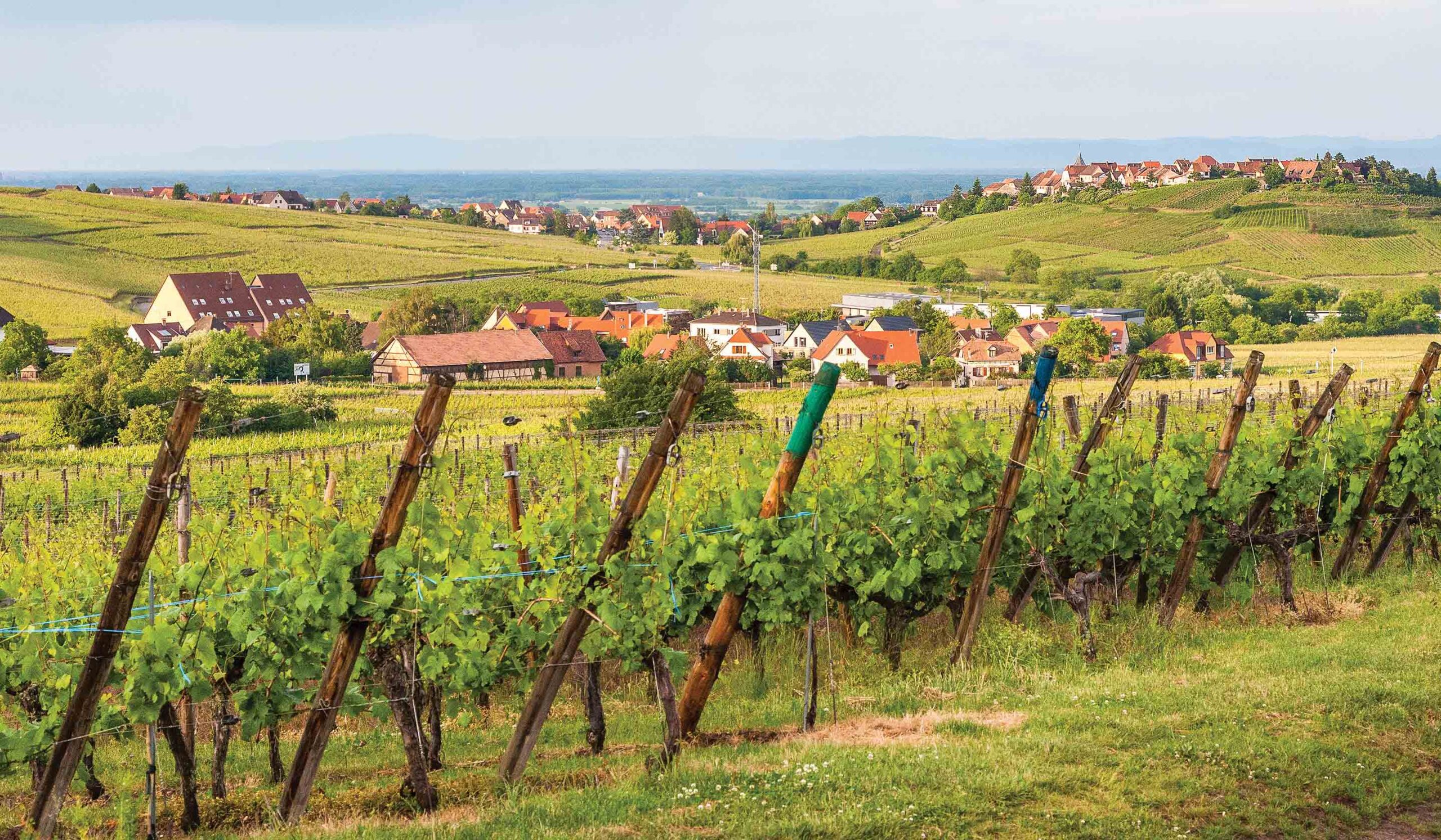 Rhine Enchantment, Milan to Amsterdam - Northbound