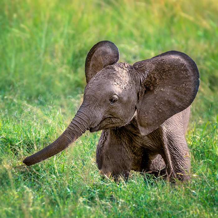 Southern Africa Through a Child's Eyes