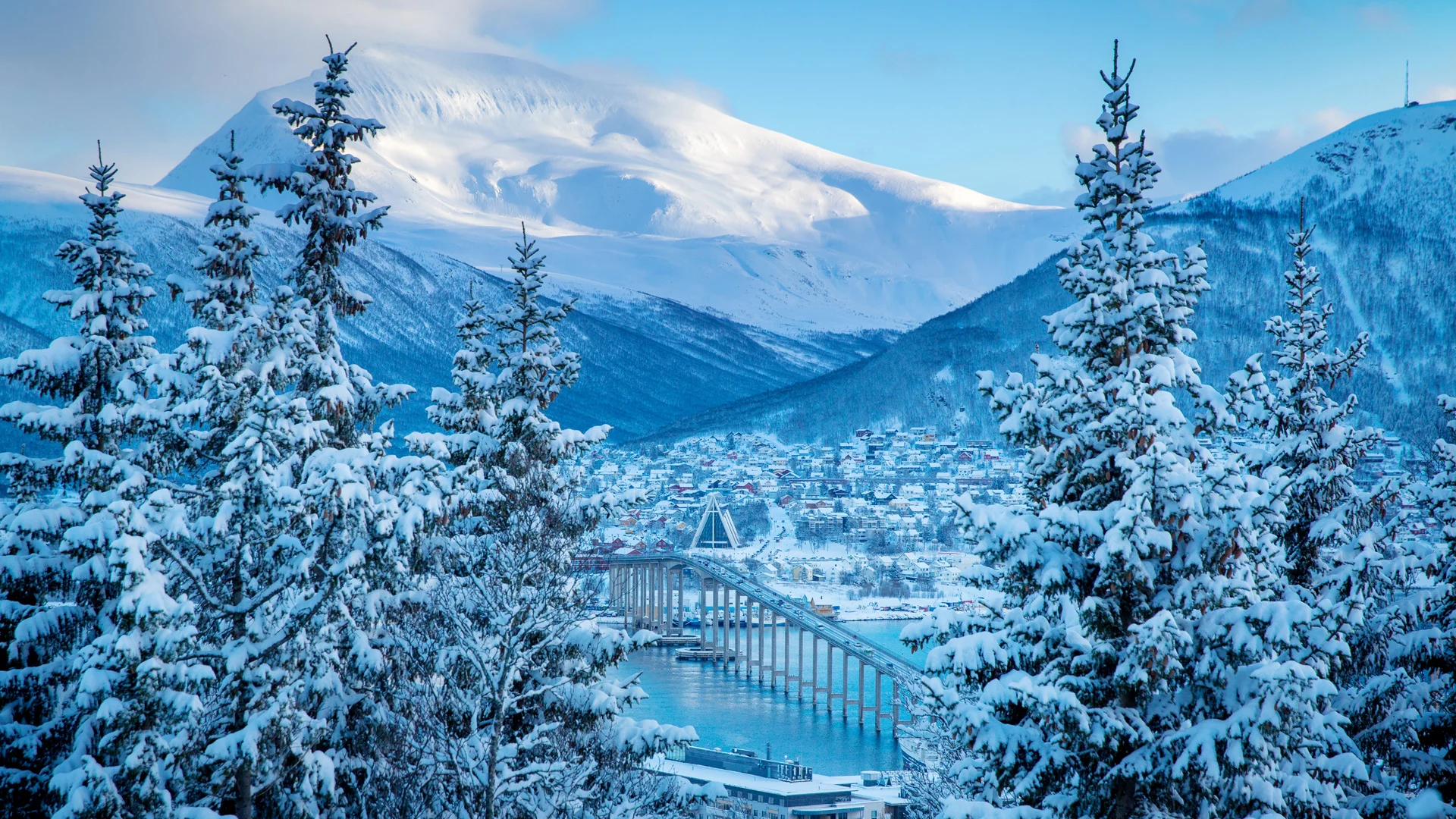 The Arctic Line - South