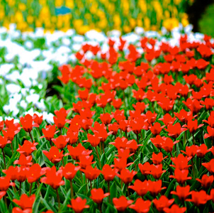 The Rhine & Moselle (Southbound)