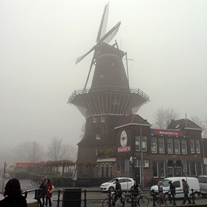 Rhine & Rhône Revealed (Northbound)