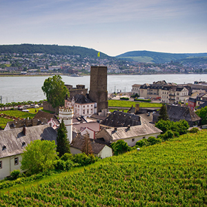 Swiss Splendors By Train With Romantic Rhine Cruise